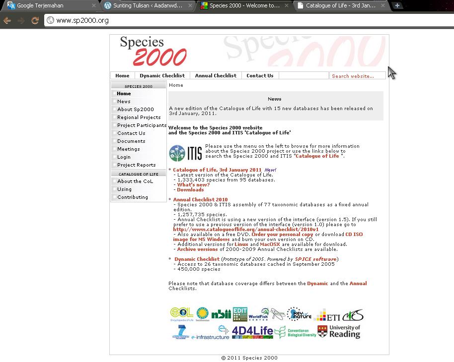 Сайт 1 жизнь. Первый сайт 2000. Google 2000 website.